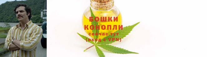 эйфоретик Дмитров