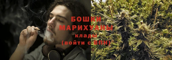 амф Дмитровск