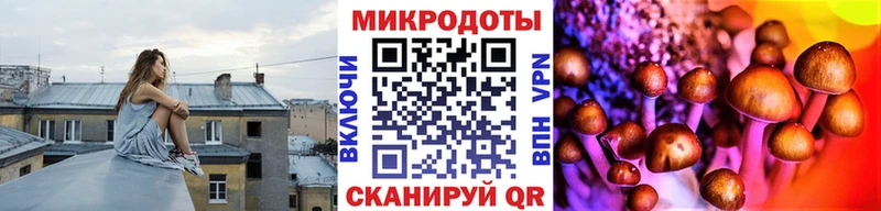 Псилоцибиновые грибы GOLDEN TEACHER  Купить где  Семёнов 